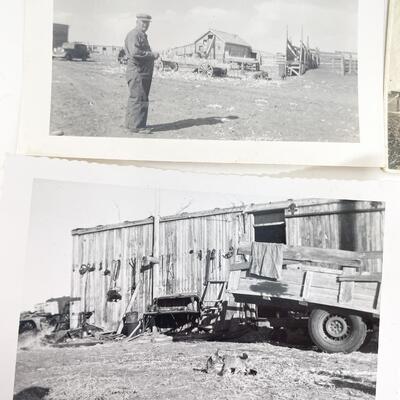 ANTIQUE PHOTOGRAPH LOT - FARM & ANIMALS