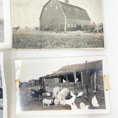 ANTIQUE PHOTOGRAPH LOT - FARM & ANIMALS