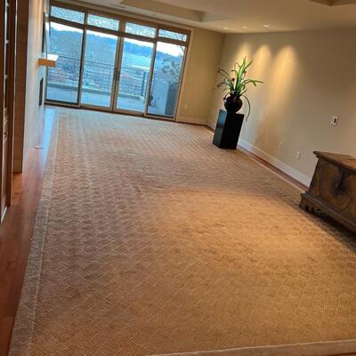 Extra Large Fine Quality Almar Carpets Wool and Jute Tan Area Rug 26 x 13 Ft