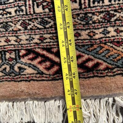 Light Colored Persian / Oriental Area Rug 32 X 48