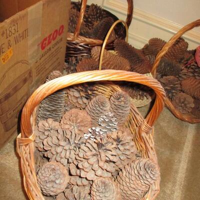 Basket Pine Cones