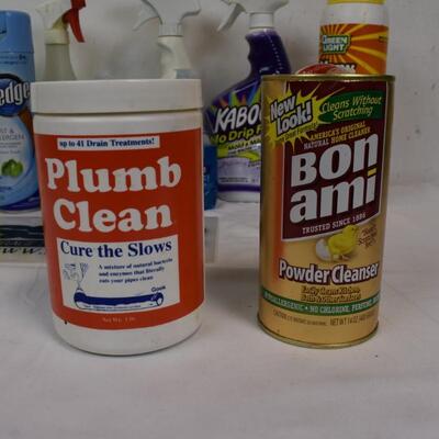 10 pc Cleaning Supplies, Bleach Cleaners, Dish Soap, Powder Cleansers