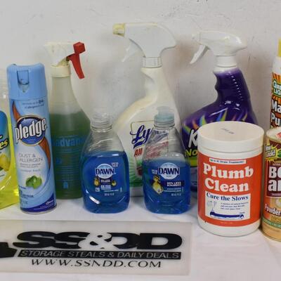 10 pc Cleaning Supplies, Bleach Cleaners, Dish Soap, Powder Cleansers
