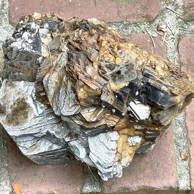 Lot 158 Mica & Petrified Wood 2 pcs
