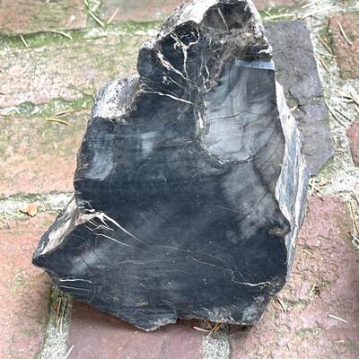 Lot 158 Mica & Petrified Wood 2 pcs