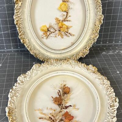 2 Oval Framed Dried Flowers 