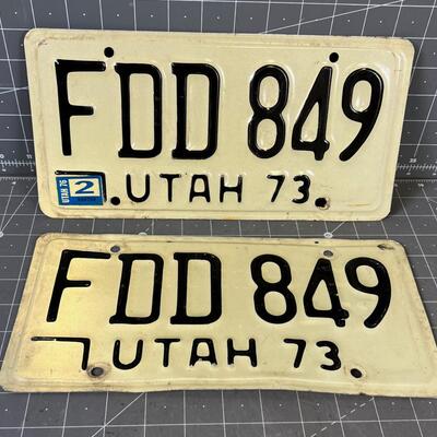 Pair of 1973 License Plates 