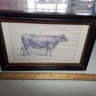 Vintage Cow print 10in