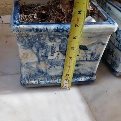 Two plants in planters blue and white