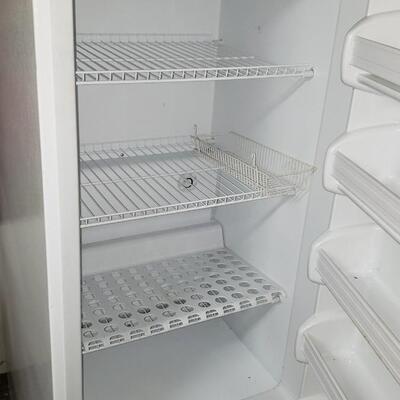 Frigidaire Electrolux commercial freezer upright