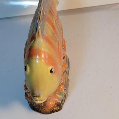 Cute Fish