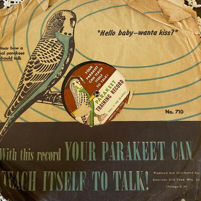 LOT 208  VINTAGE LP & 45s RECORDS BEATLES RAVI SHANKAR