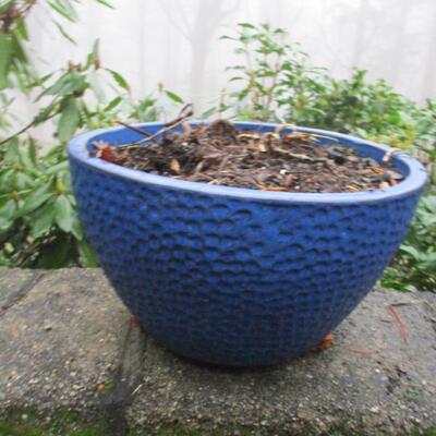 Ceramic Planter- Blue Divots