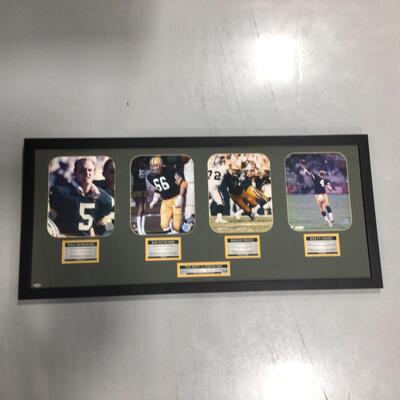 10) PACKERS | The Best Of Green Bay Framed Collector Piece
