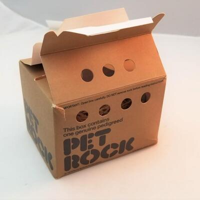 Lot #64  1975 Pet Rock in original packing