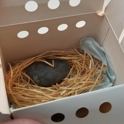 Lot #64  1975 Pet Rock in original packing