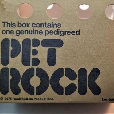 Lot #64  1975 Pet Rock in original packing
