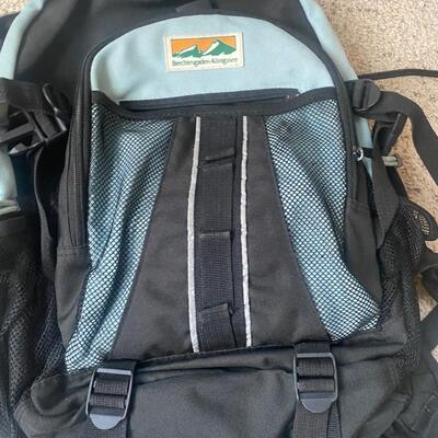 Backpack- whose ready for some alpine fun