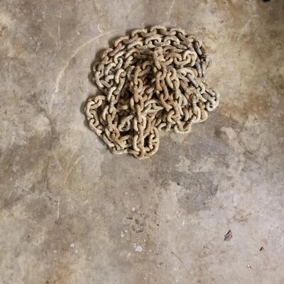 20' Chain