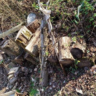 Firewood