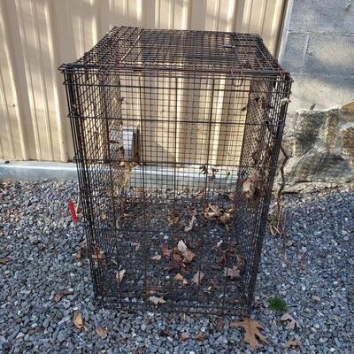 2 Radio Flyer Wagons & Pet Crate