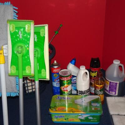 LOT 107. CLEANING ITEMS
