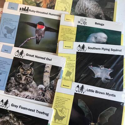 Wildlife Adventure Cards collection