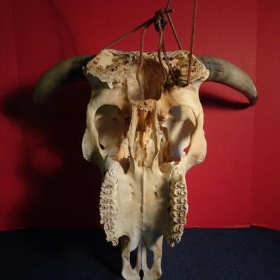 LOT 220. NATIVE AMERICAN INSPIRED HAND PAINTED SKULL
