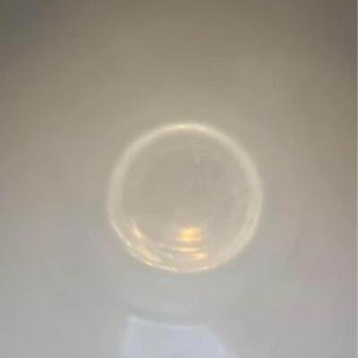 Vintage Yellow Daisy Pyrex 444