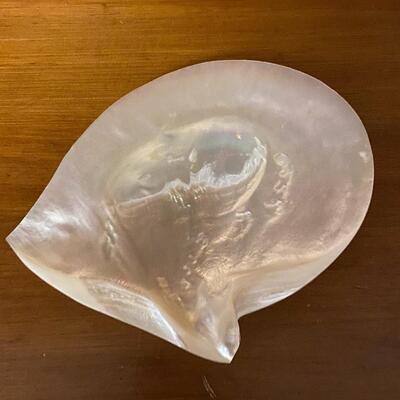 large shell dish approx 8.5"x7" and widest and longest