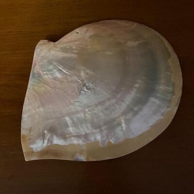 large shell dish approx 8.5"x7" and widest and longest