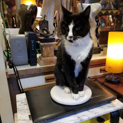 Cat imitating sculpture not for sale