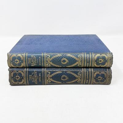 ANTIQUE AVON HARDBACK BOOKS - 1800S?