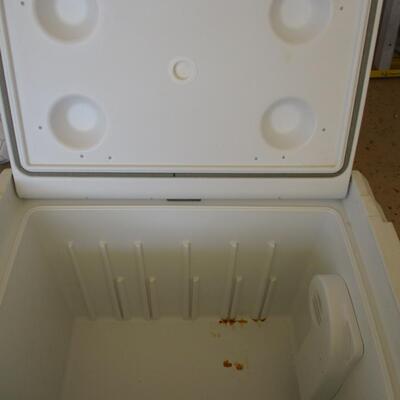 Coleman Cooler