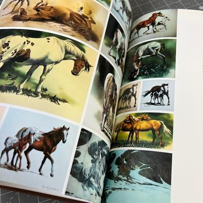 The Art of Bev Doolittle Coffee Table Book 