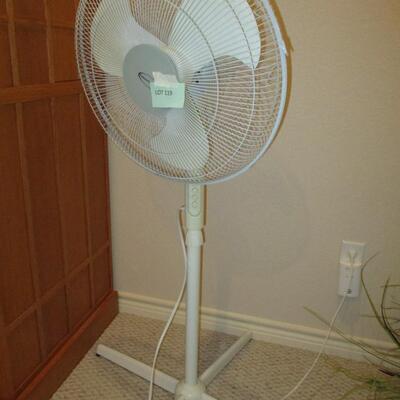Oscillating Fan
