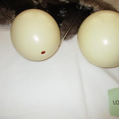 Ostrich Eggs & Feathers
