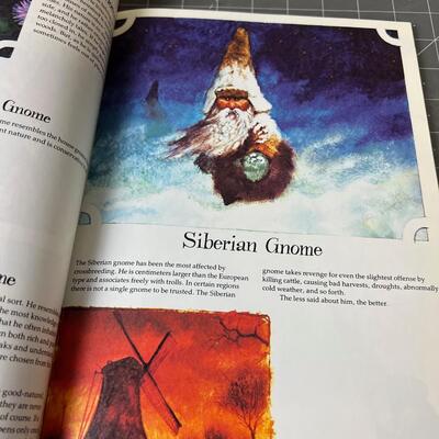 Gnomes Book, Paper Back 