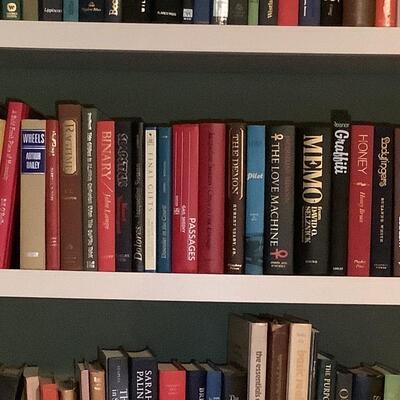 Books-whole shelf of books- LM