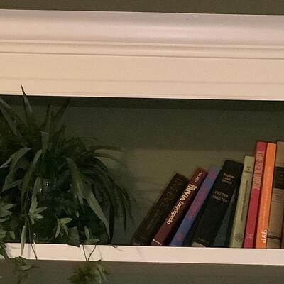 Books-whole shelf of books & plant-TR