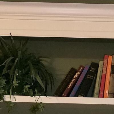 Books-whole shelf of books & plant-TR