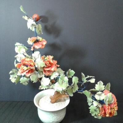 Jade Tree