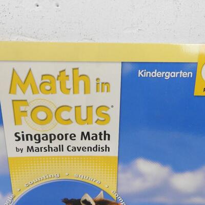 Math in Focus Kindergarten Part 2 Books A&B ONLY, Singapore Math Paperback - New