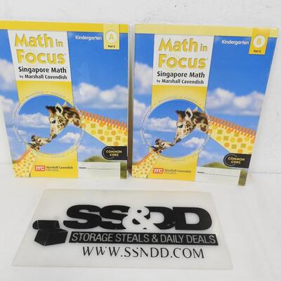 Math in Focus Kindergarten Part 2 Books A&B ONLY, Singapore Math Paperback - New