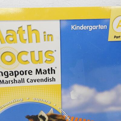 Math in Focus Kindergarten Part 2 Books A&B ONLY, Singapore Math Paperback - New