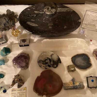 Lapidary or Rock Collection