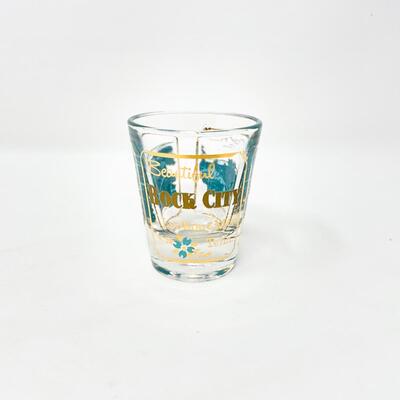 â€œBEAUTIFUL ROCK CITY, LOOKOUT MTN, TENNâ€ SHOT GLASS
