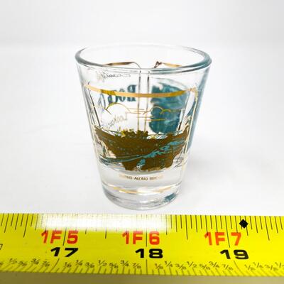â€œBEAUTIFUL ROCK CITY, LOOKOUT MTN, TENNâ€ SHOT GLASS