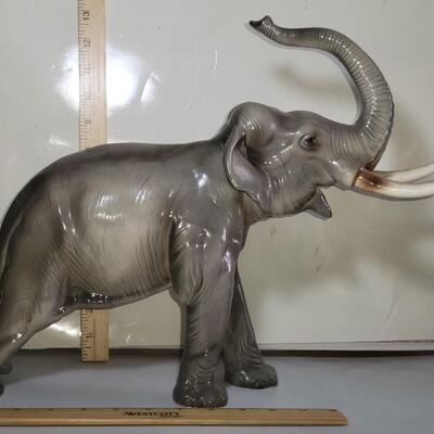 Large elephant 13