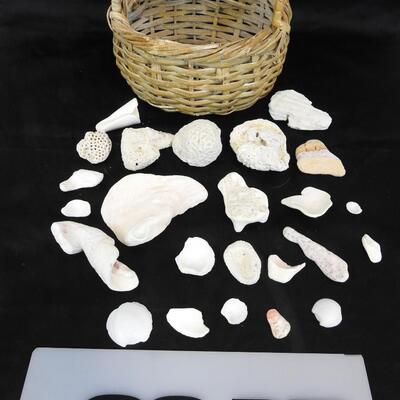 Small Basket with 24 rocks & shells